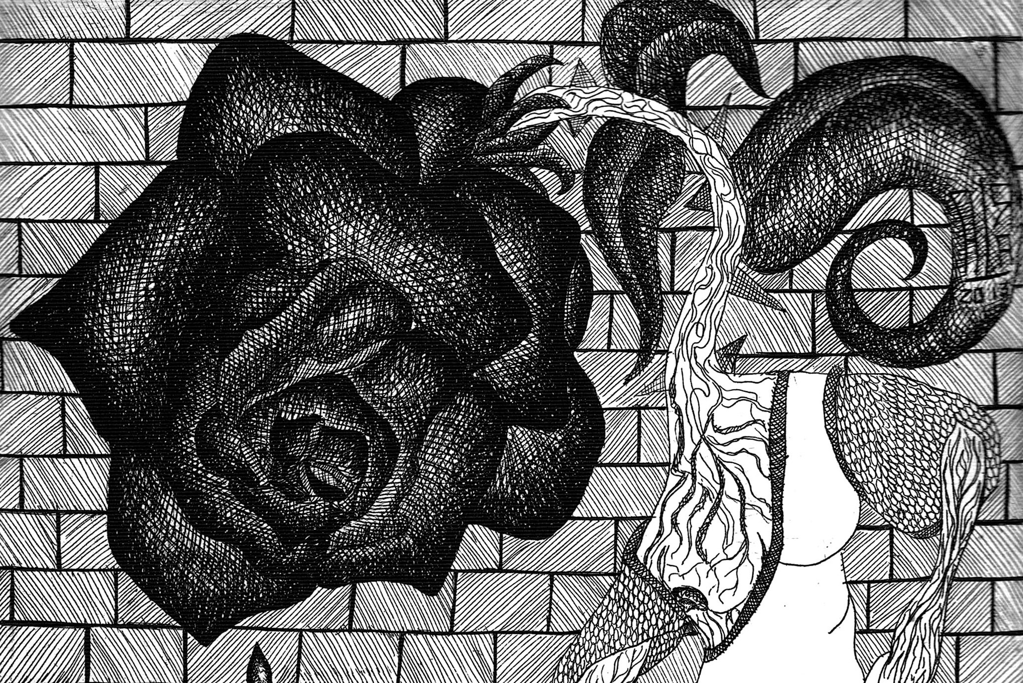 mediawork 165 by Lara Nex Oliva